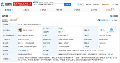 金山云旗下海南洋浦信息科技增資至6億美元，強化信息系統集成服務布局